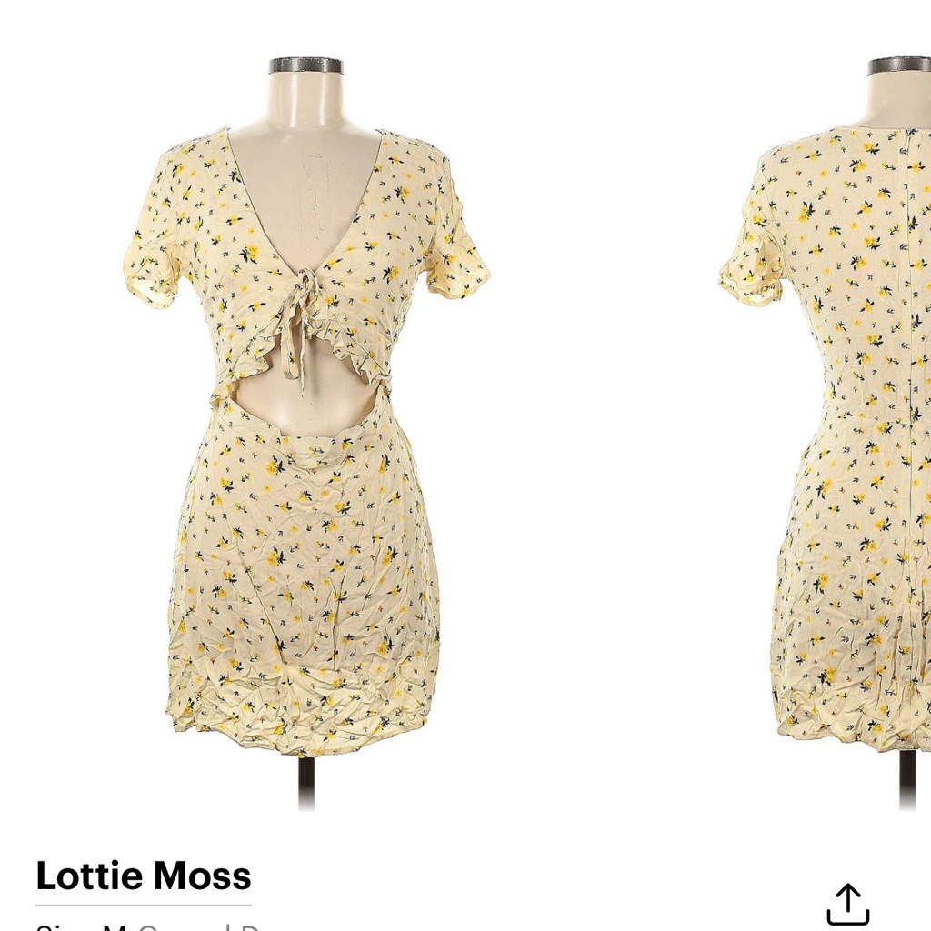Lottie Moss/Pacsun Front Cut Out Short Sleeve Ruffled Floral Mini Dress